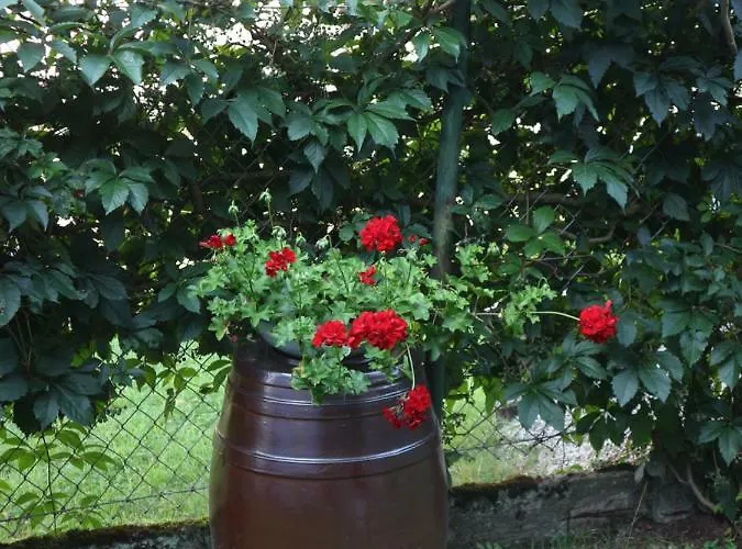 Romantikhaus Hufschmiede Πανσιόν Engelhartszell